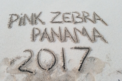 18121248_10212385748460077_2095890626142025928_o